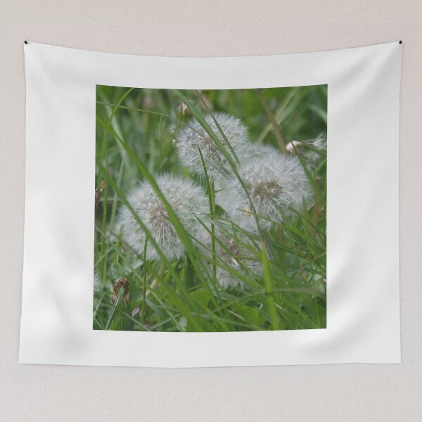 Item preview, Fluffy Dandelions designed and sold by lezvee.