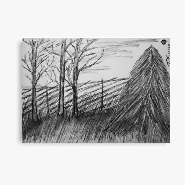 Black and white landscape Canvas Print