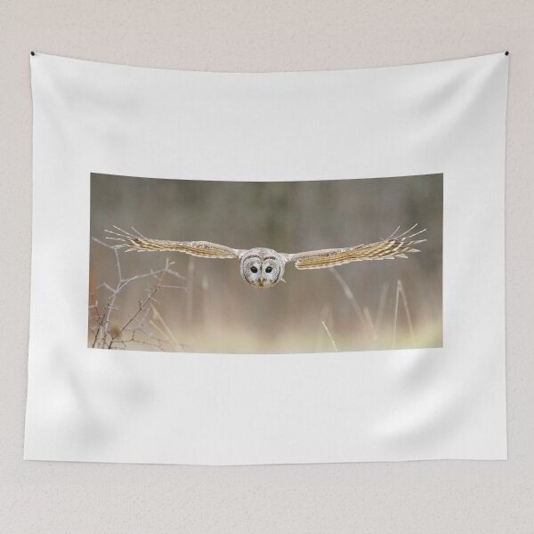 Item preview, Barred Owl in Flight, Bird Flying, Autumn Field designed and sold by ScienceSource.