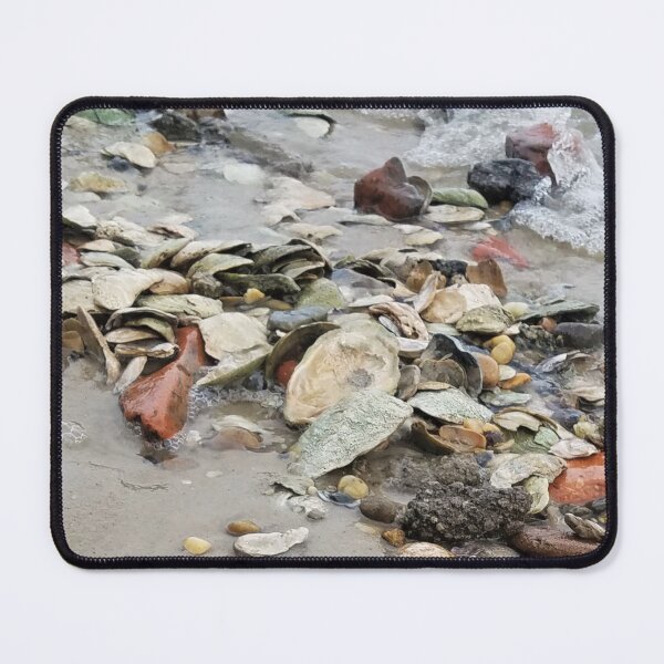 Item preview, Sea Shell Collection designed and sold by MooseDogPhotos.