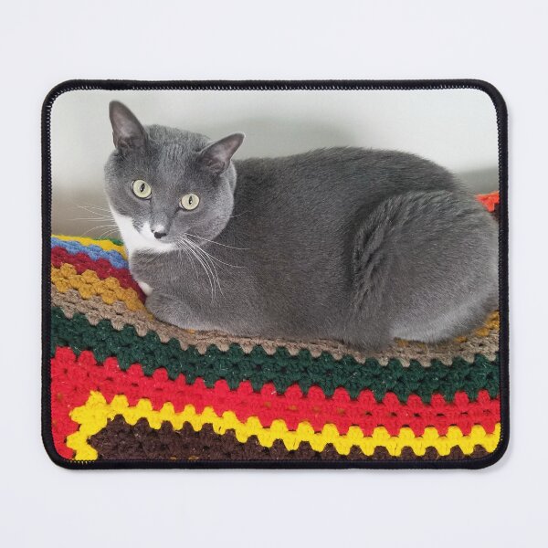 Item preview, Comfy Cat Blanket designed and sold by MooseDogPhotos.
