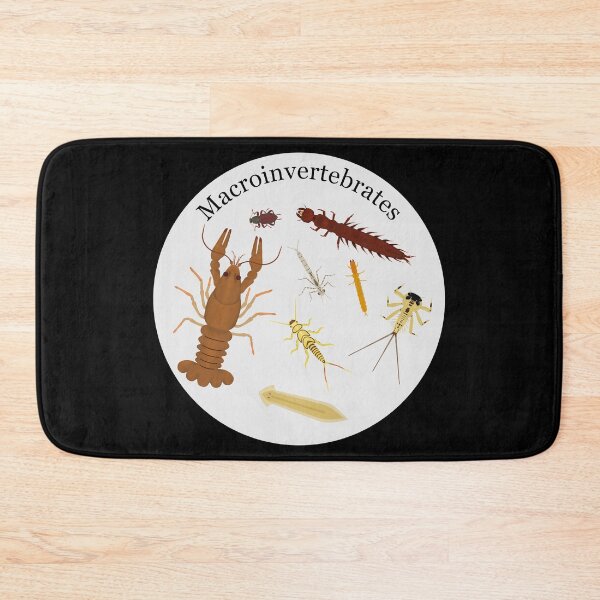 Item preview, Macroinvertebrates designed and sold by Biology Simulations.