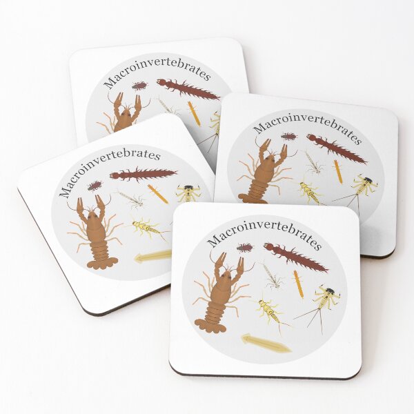Item preview, Macroinvertebrates designed and sold by Biology Simulations.