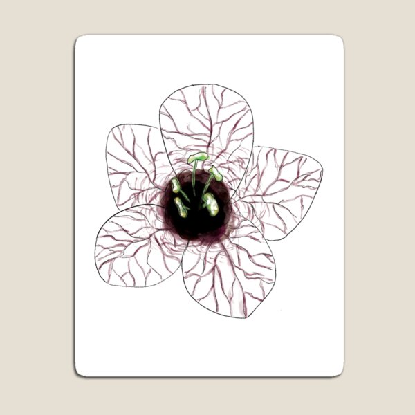 Aperçu de l'œuvre Henbane créée et vendue par TessDrawsStuff.