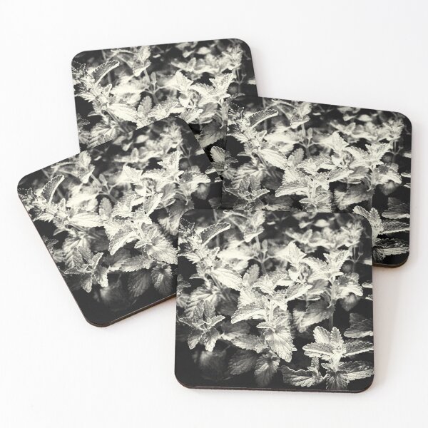 Item preview, Nepeta Grandiflora Leaves Monochrome  designed and sold by Tanya C  Smith.