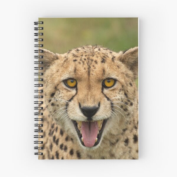 Item preview, Cheetah designed and sold by Karen  O'Reilly.
