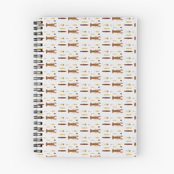 Item preview, Assorted Macroinvertebrates designed and sold by Biology Simulations.