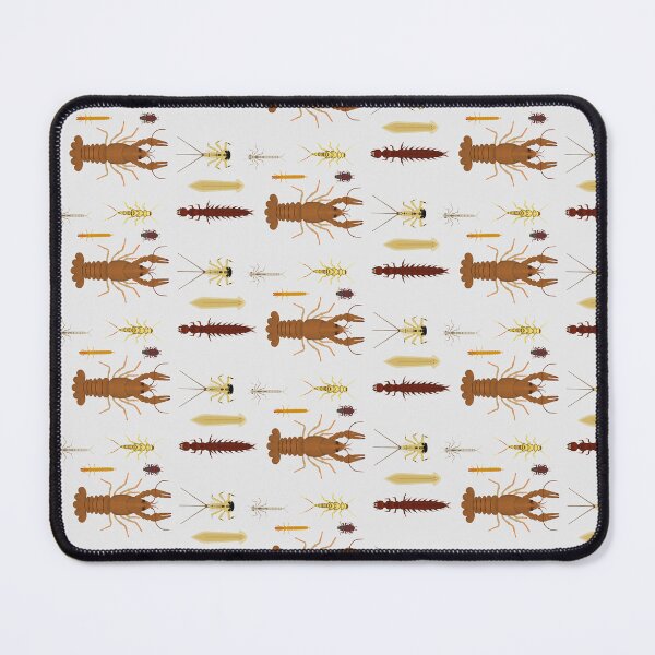 Item preview, Assorted Macroinvertebrates designed and sold by Biology Simulations.