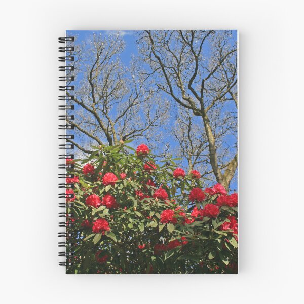 Item preview, Branching Out designed and sold by RedHillDigital.