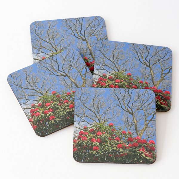 Item preview, Branching Out designed and sold by RedHillDigital.