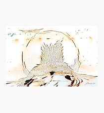 Water Globe Photographic Print