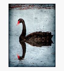 Morning on Dangars Lagoon III Photographic Print