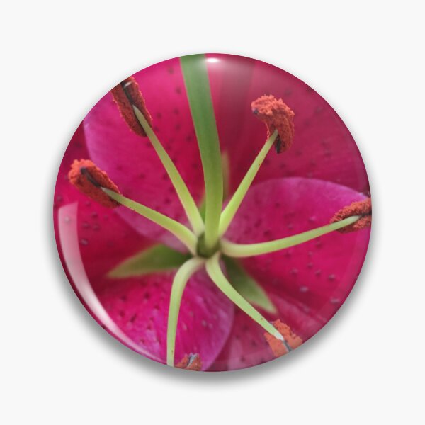 Item preview, Lily designed and sold by RoseArtUK.