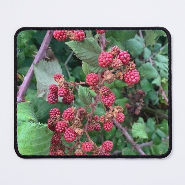Item preview, Berry designed and sold by baksuart.