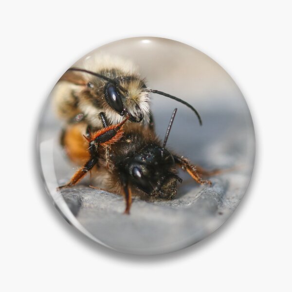 Item preview, Mating mason bees I designed and sold by GreyFeatherPhot.