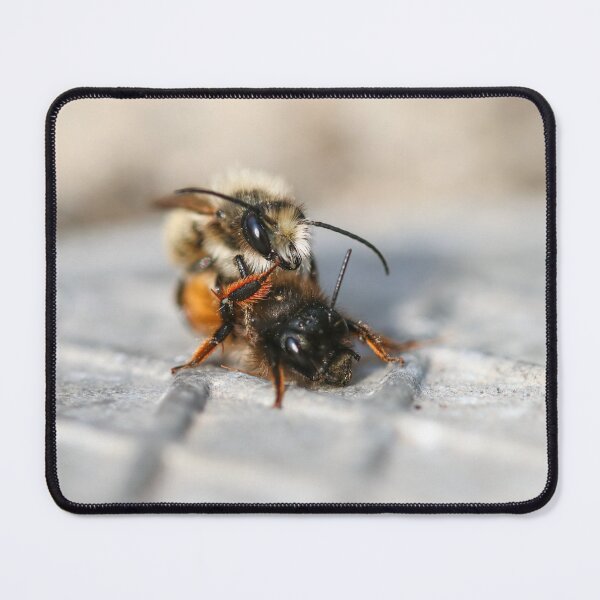 Item preview, Mating mason bees I designed and sold by GreyFeatherPhot.