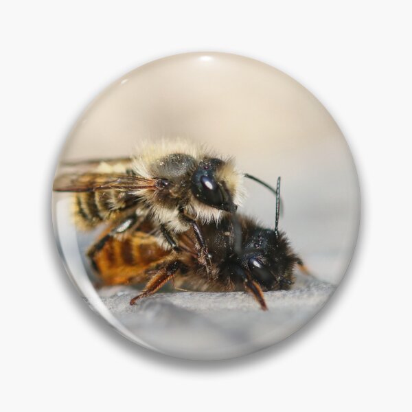 Item preview, Mating mason bees II designed and sold by GreyFeatherPhot.