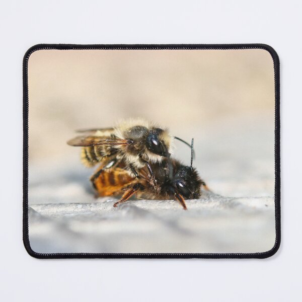 Item preview, Mating mason bees II designed and sold by GreyFeatherPhot.