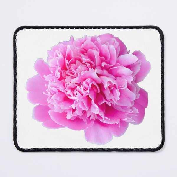 Item preview, Pink Peony designed and sold by katiamelnik.