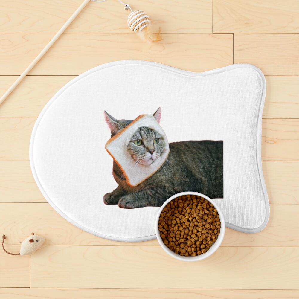 Black cat funny cute cat kitten kitty pet  Pet Mat by miryemshop