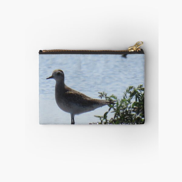 Item preview, Shore Bird designed and sold by BeachyBird.