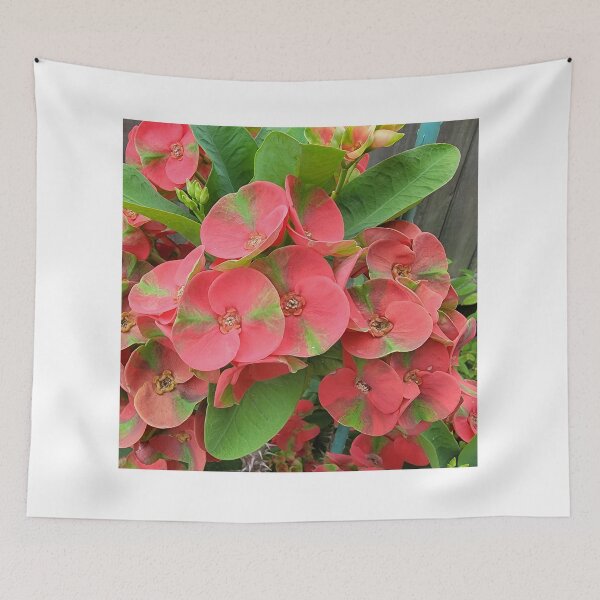Item preview, Red and green Crown of thorns flowers. designed and sold by imyournightmare.