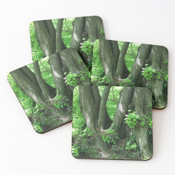 Item preview, Ancient Woodland  designed and sold by RoseArtUK.