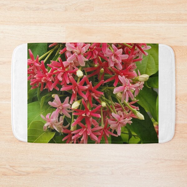 Item preview, Pink summer Rangoon creeper flowers. Combretum Indicum plant. designed and sold by imyournightmare.