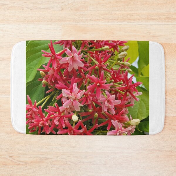 Item preview, Pink summer Rangoon creeper flowers. Combretum Indicum plant. designed and sold by imyournightmare.