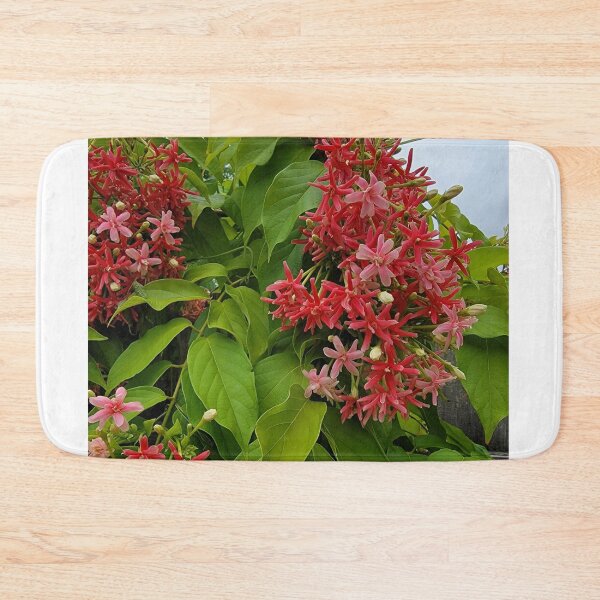 Item preview, Pink summer Rangoon creeper flowers. Combretum Indicum plant. designed and sold by imyournightmare.