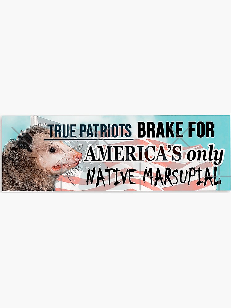 Thumbnail 3 of 3, Magnet, Possum Sticker - I brake for America's only native marsupial - Funny bumper Sticker designed and sold by Ssimo30.