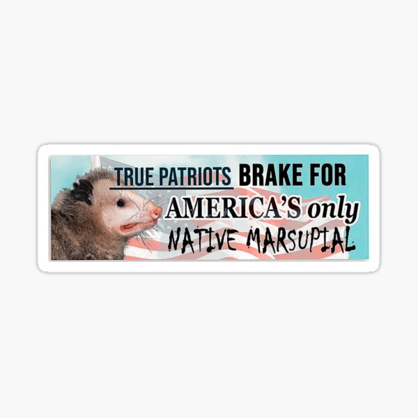 Funny Sayings Bumper Stickers for Sale