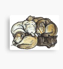 Sleeping pile of grey wolves Canvas Print