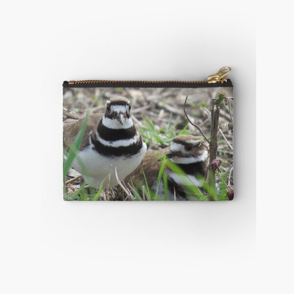 Item preview, Family Time- Killdeer designed and sold by BeachyBird.