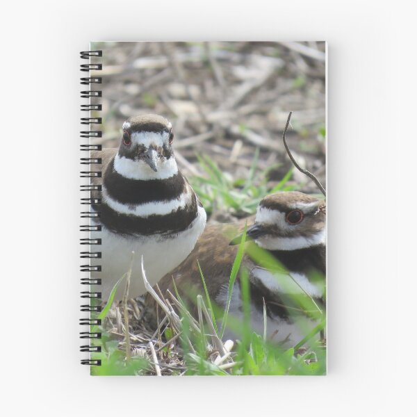 Item preview, Family Time- Killdeer designed and sold by BeachyBird.