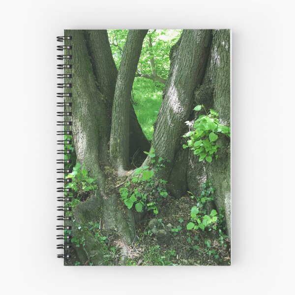 Item preview, Ancient Woodland  designed and sold by RoseArtUK.