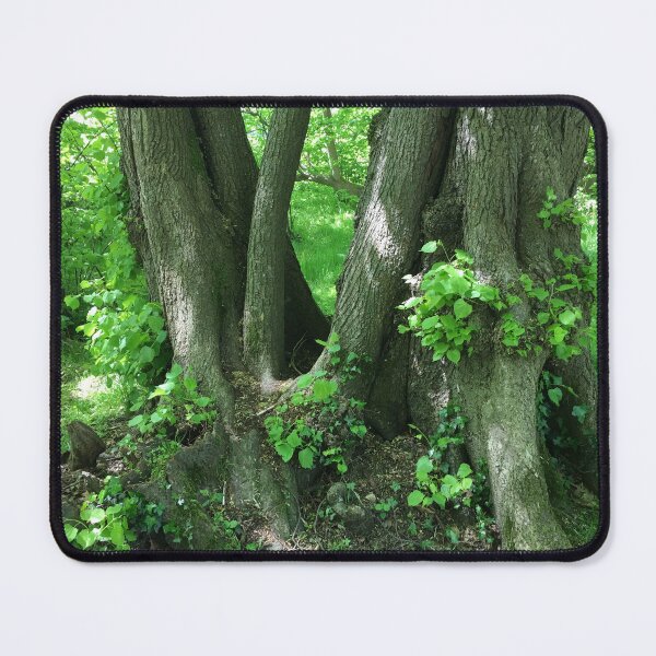 Item preview, Ancient Woodland  designed and sold by RoseArtUK.