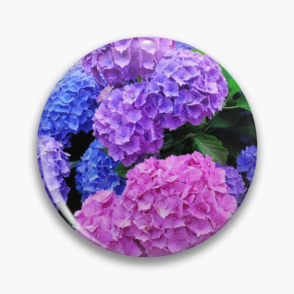 Item preview, Beautiful Pink & Purple Hydrangeas Blooming designed and sold by newburyboutique.