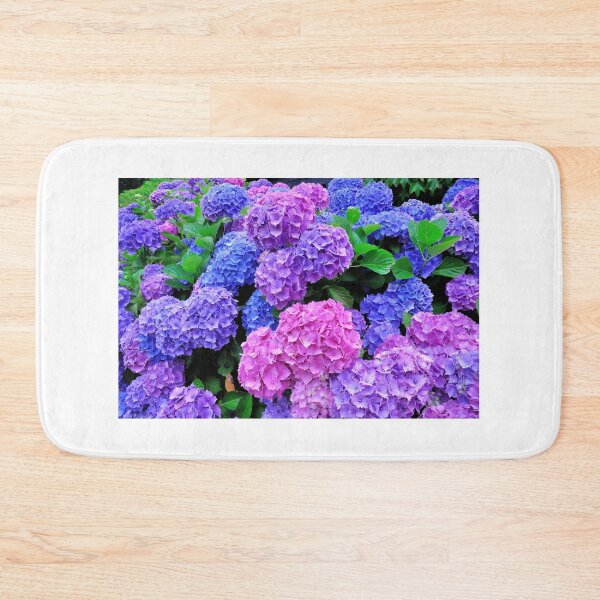 Item preview, Beautiful Pink & Purple Hydrangeas Blooming designed and sold by newburyboutique.