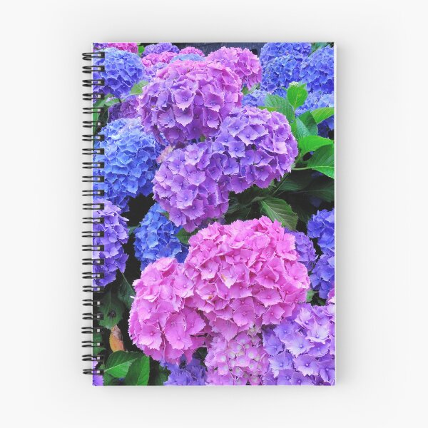 Item preview, Hermosas hortensias rosas y moradas floreciendo designed and sold by newburyboutique.