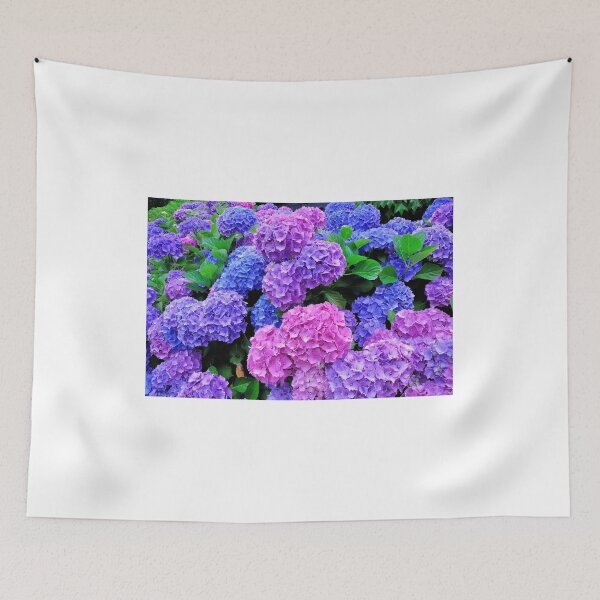 Item preview, Beautiful Pink & Purple Hydrangeas Blooming designed and sold by newburyboutique.