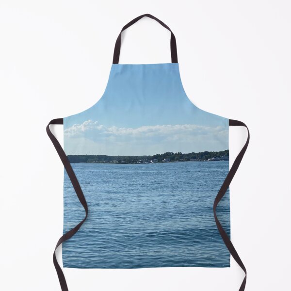 Item preview, Back Bay Summer Scenery designed and sold by CJRPics.