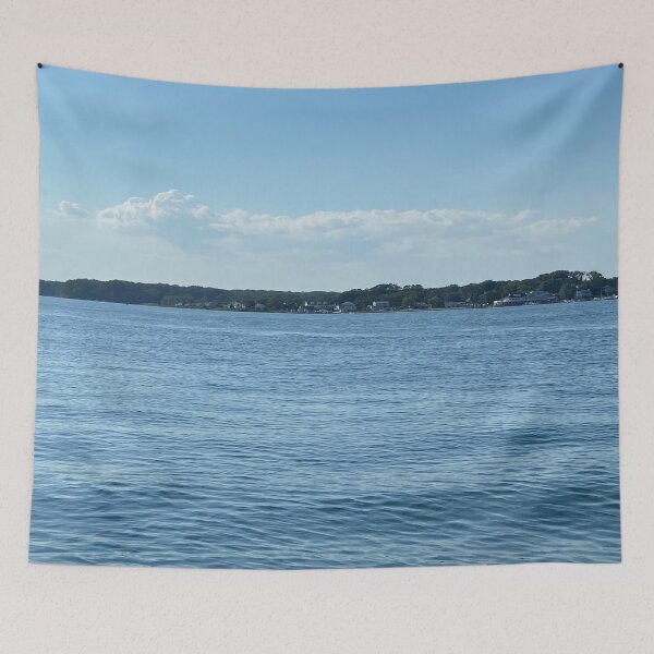 Item preview, Back Bay Summer Scenery  designed and sold by CJRPics.