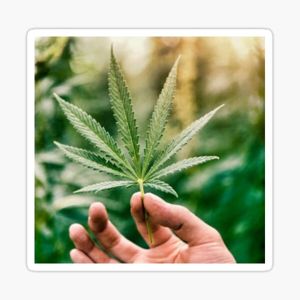 Marihuana Sticker