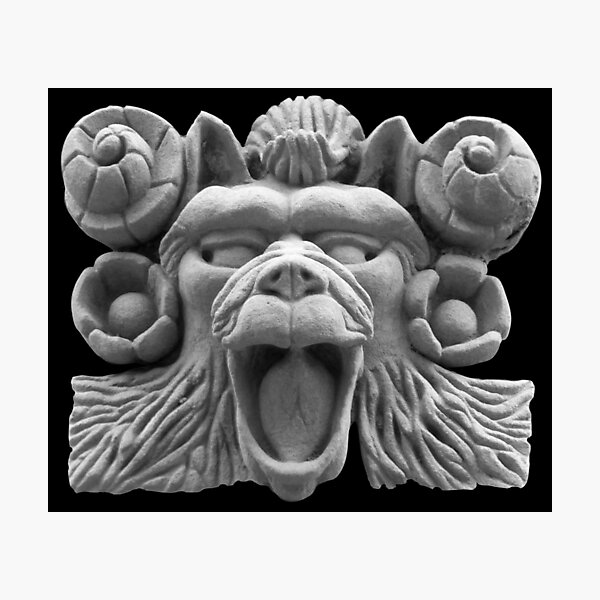 Hippy Monkey Photographic Print