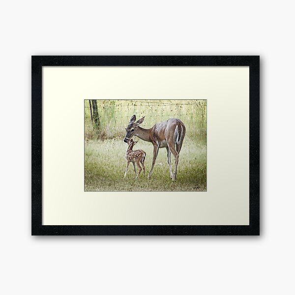 Item preview, New Born Fawn designed and sold by Penny Odom.