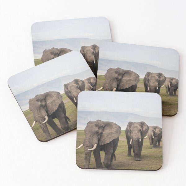 Item preview, Wild Safari Elephants designed and sold by newburyboutique.