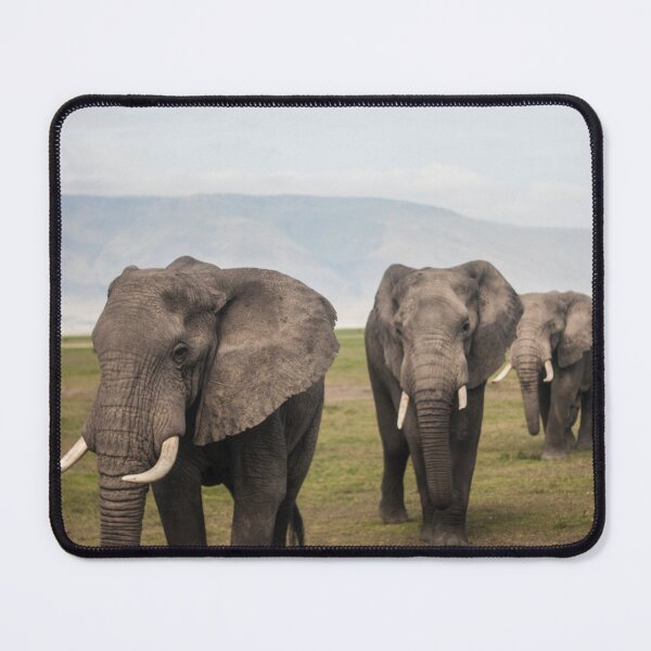 Item preview, Wild Safari Elephants designed and sold by newburyboutique.