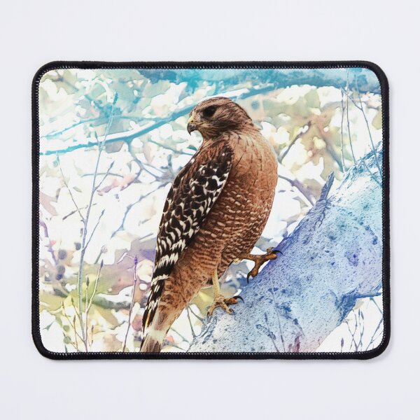 Item preview, Red Shouldered Hawk designed and sold by Robert Ball.