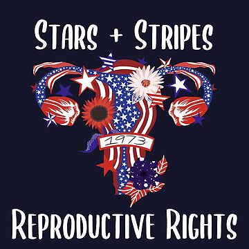 Artwork thumbnail, (Version 2) Stars and Stripes Reproductive Rights by EmilyWilsonArtz